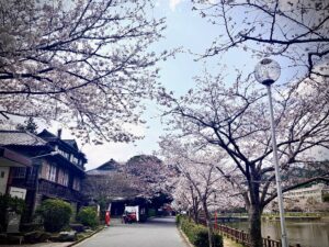 八鶴館で合同展示＆発表しました